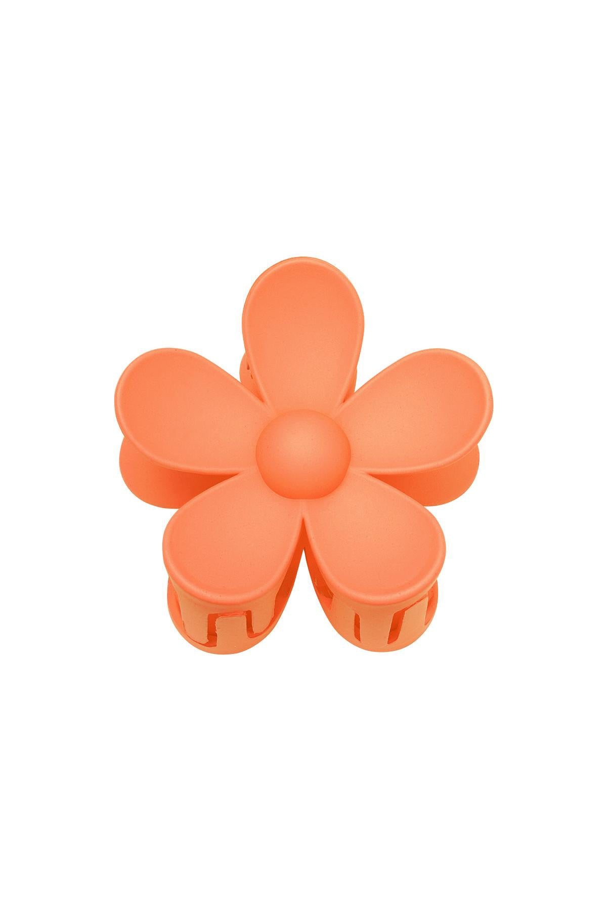 Haarklem bloem oranje