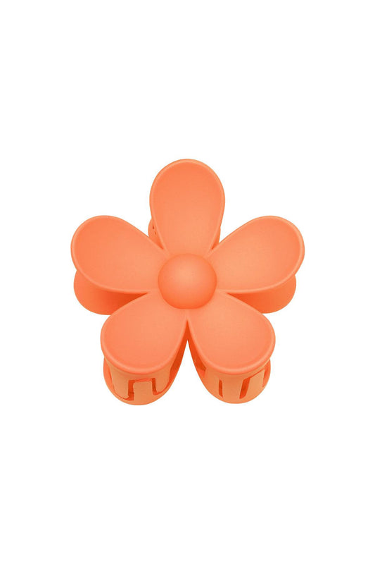 Haarklem bloem oranje
